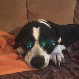 Meet your Posher, Jayden